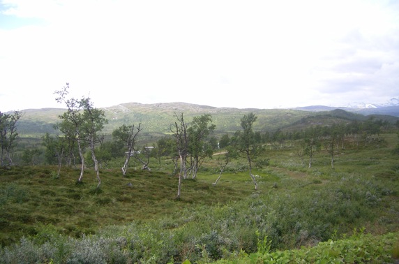 094217sany0105.JPG