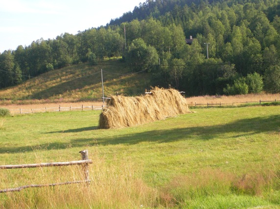 121317sany0095.JPG