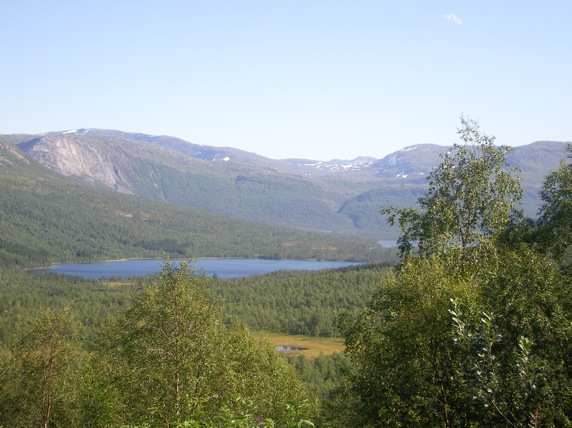 12134sany0071.JPG