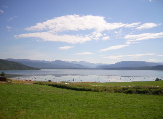 12136sany0055.JPG