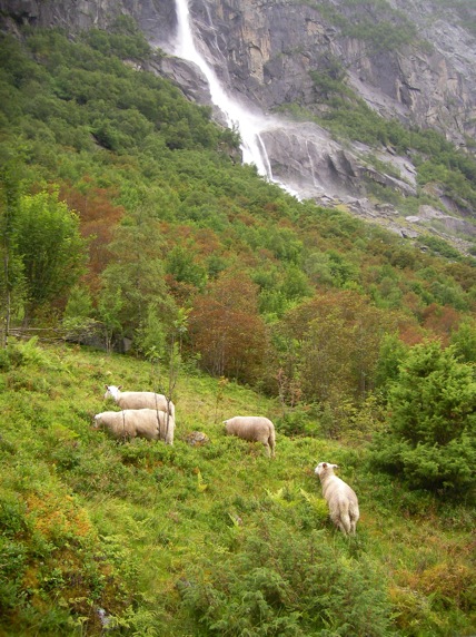 121736sany0208.JPG