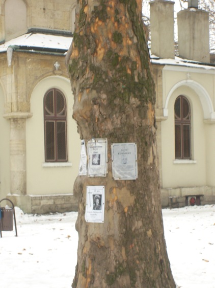 sany0006-132735.JPG